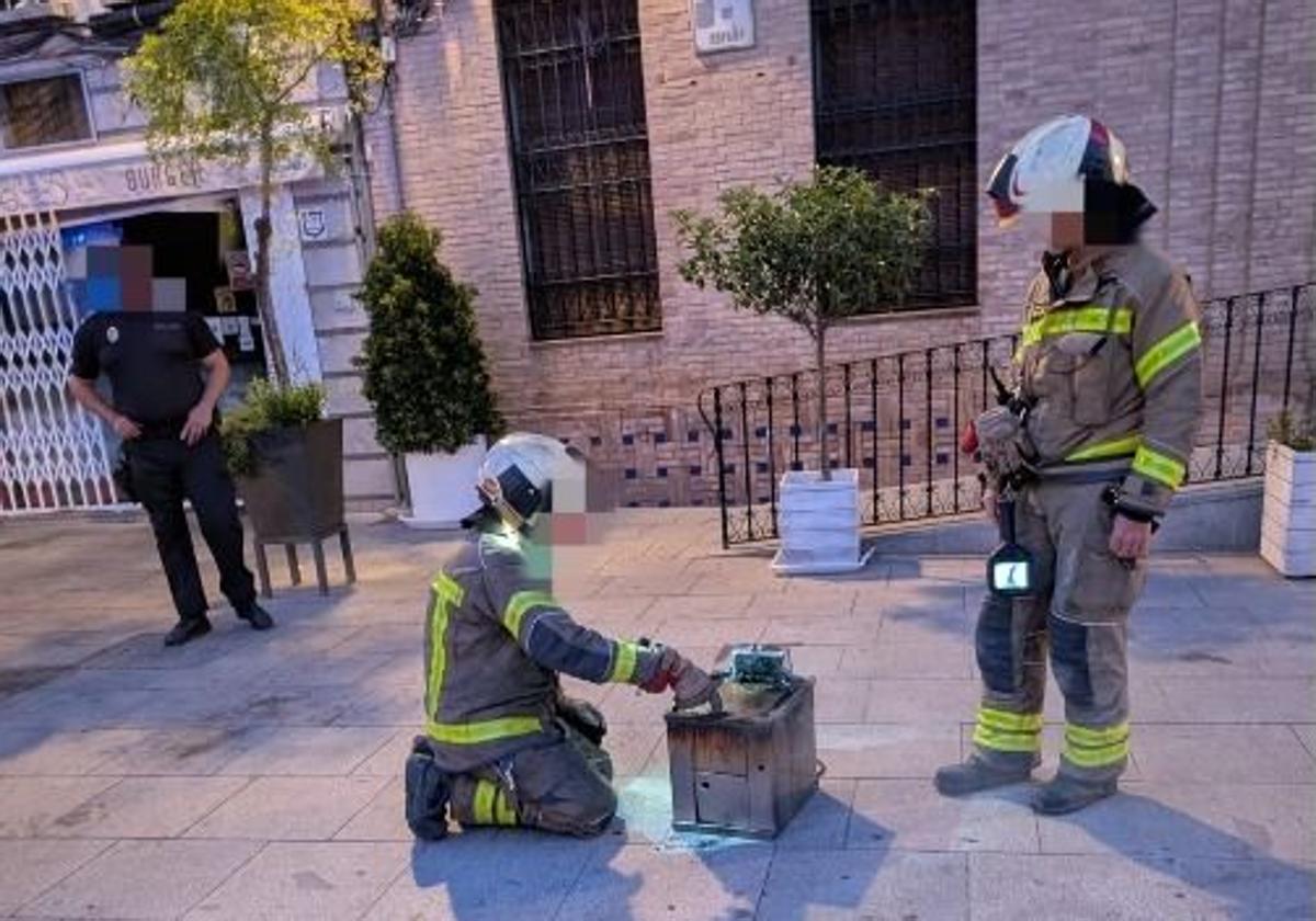 Los servicios de emergencias actúan en la zona.