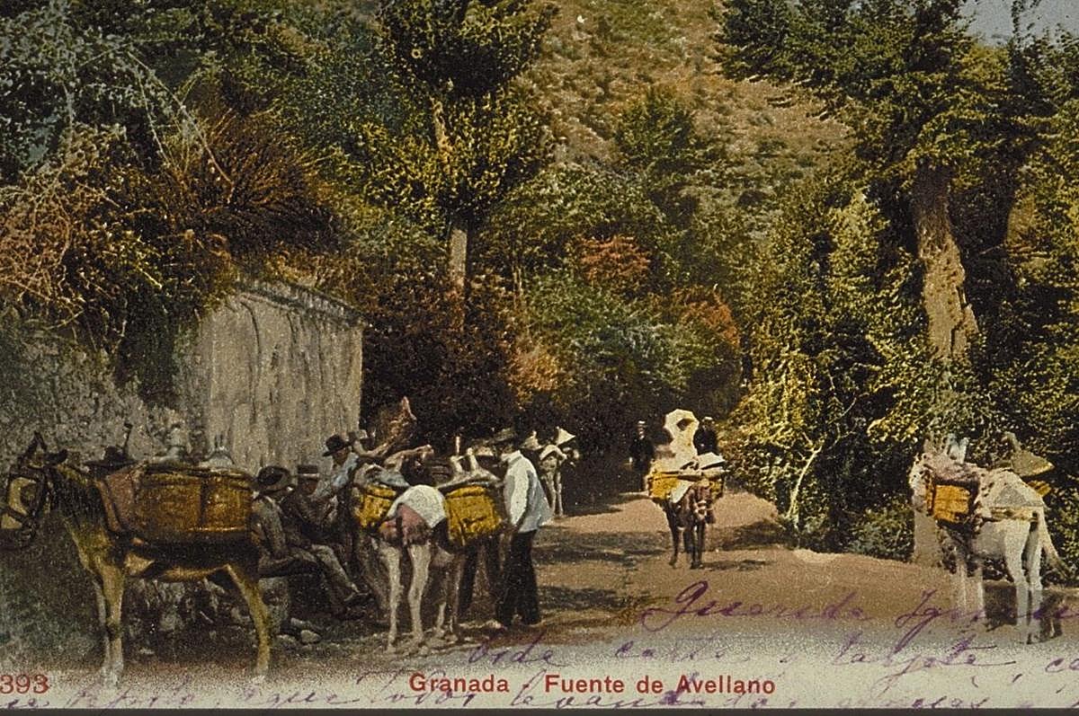 Aguadores en la Fuente del Avellano en una postal