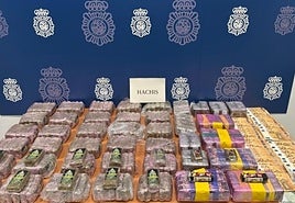 Imagen de la mercancía incautada.