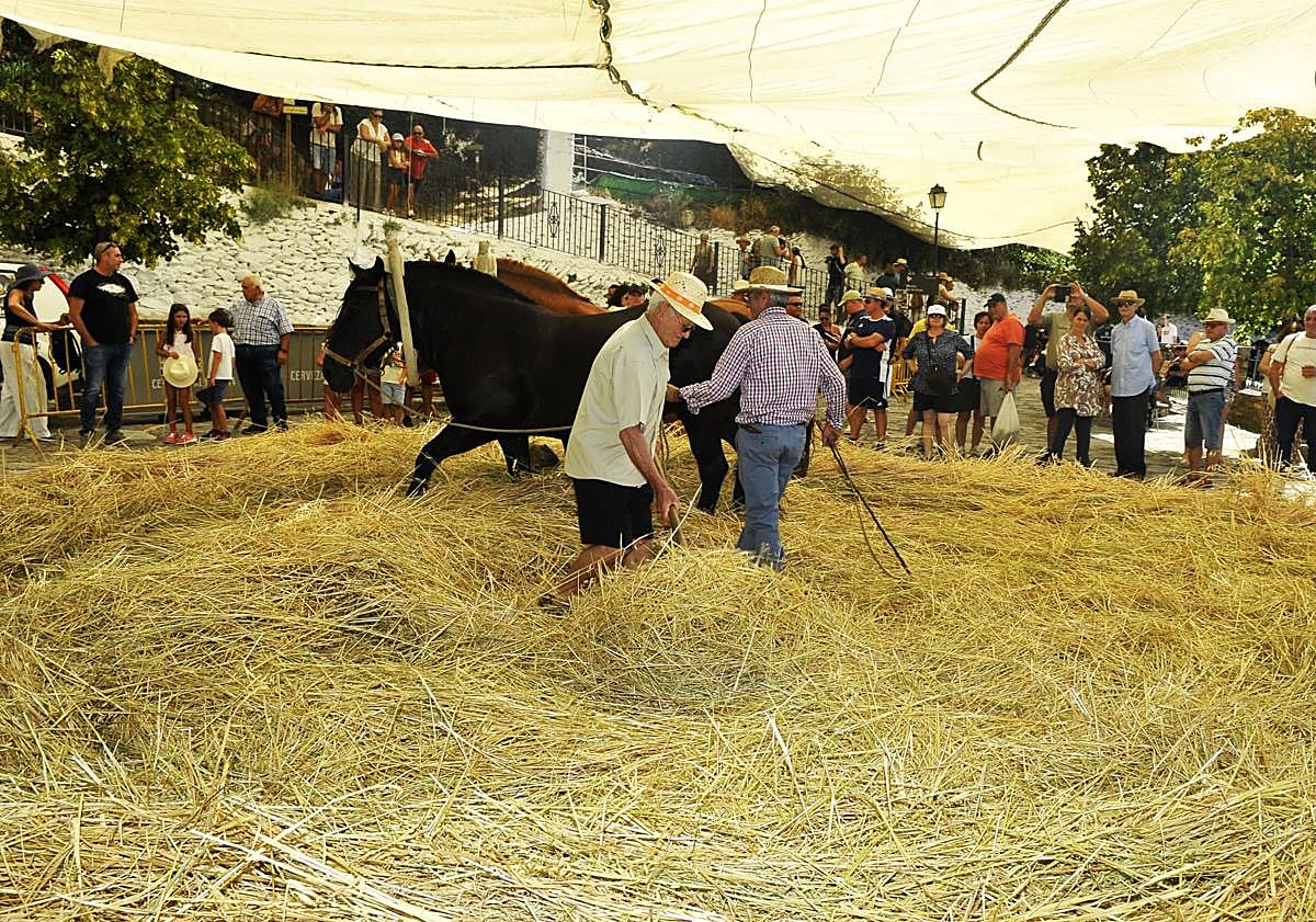 Imagen principal - Fiesta de la Parva en Pórtugos.
