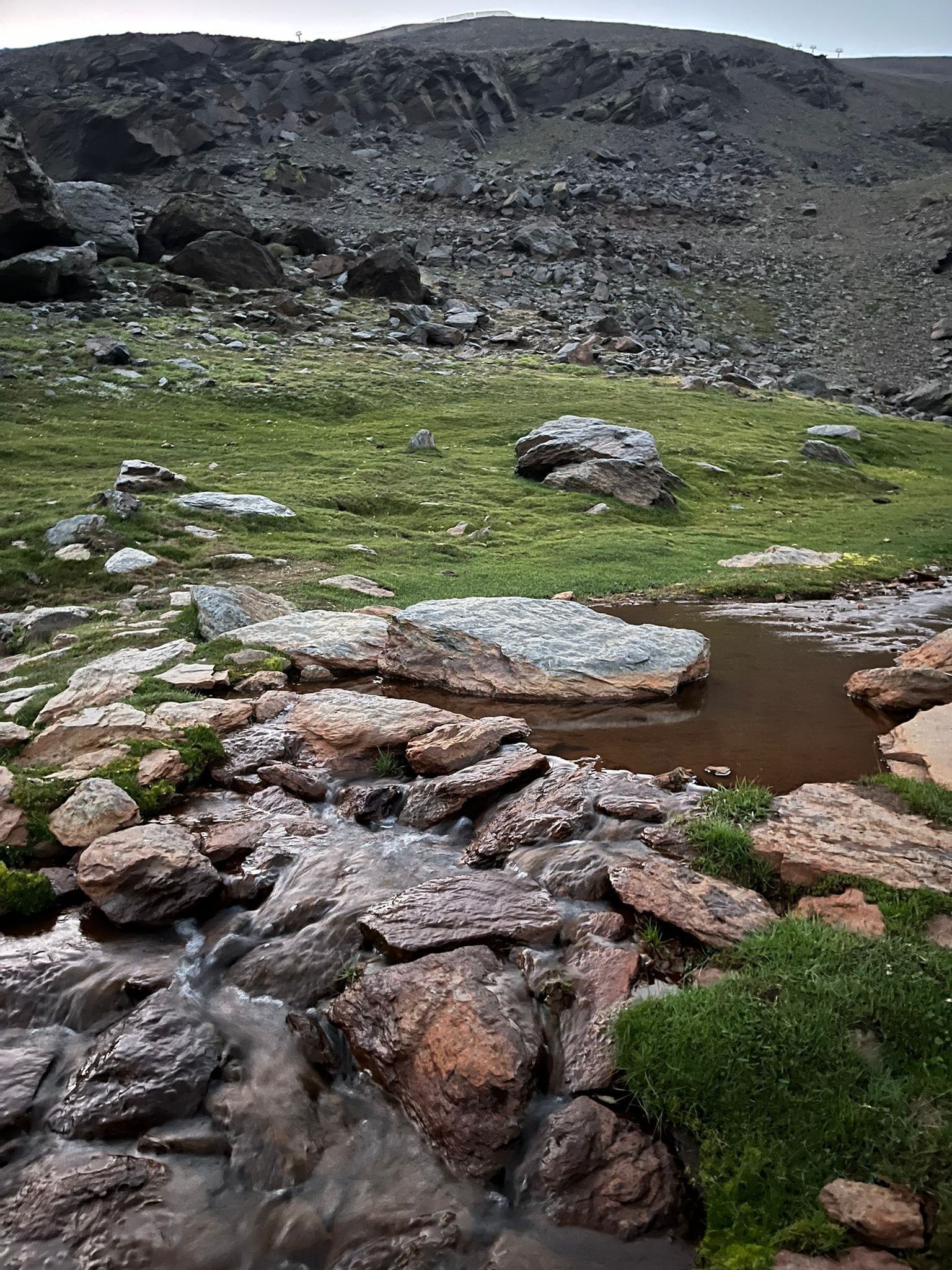 Las bellas imágenes de la romería más alta de España
