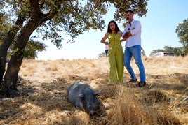 Visita del consejero de Agricultura, Pesca, Agua y Desarrollo Rural, Ramón Fernández-Pacheco, a una explotación de ganadería extensiva en la provincia de Huelva.
