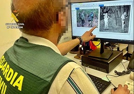 El Seprona y la patrulla de la Guardia Civil de Hornachos investigaban las muertes de tres ungulados desde diciembre.