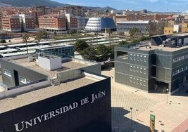 Licenciado en Filología Clásica