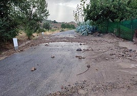 Estado de la carretera.