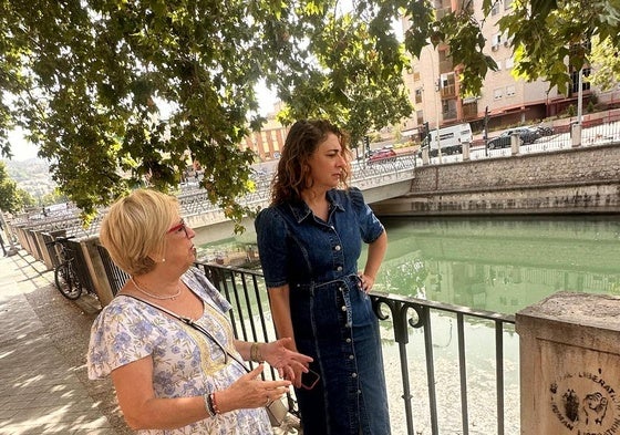 El PSOE denuncia el «estado deplorable» del río Genil y exige su limpieza