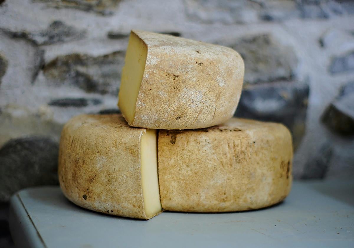 Queso de oveja, en una imagen de archivo.