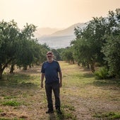 Enrique Alguacil, entre sus olivos en el pago del Lavadero Bajo, en la Vega de La Zubia.