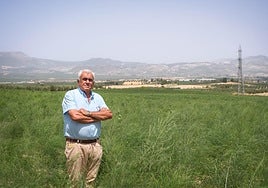 José Antonio Fernández, de 62 años, posa ante su cosecha de espárragos.
