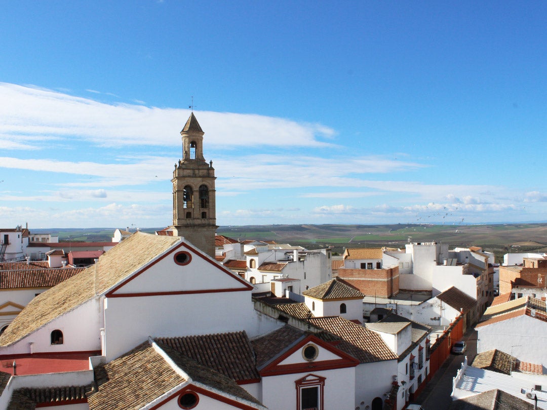 Vistas de La Rambla (Córdoba).