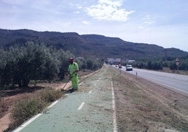 La Diputación concluye el plan de desbroce y limpieza en once carreteras de cinco municipios de Almería