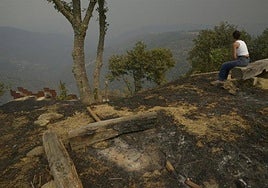 Vista del incendio, a 13 de agosto de 2025, en Ribas de la Valduerna, León, Castilla y León.