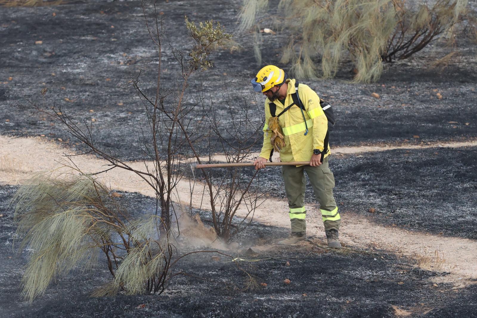 Las imágenes del incendio en San Miguel Alto