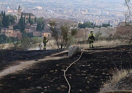 Las imágenes del incendio en San Miguel Alto