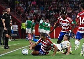 Weissman, en una disputa con Yeremay.