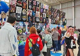 La cultura asiática cuenta con una gran cantidad de adeptos en Almería.