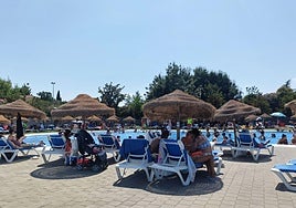 Poco más se puede pedir entre la sombra, la alegría y la piscina del barrio