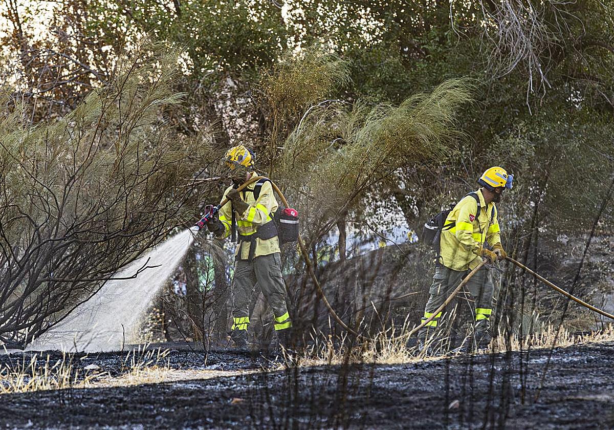 Bomberos, actuando para apagar el incendio del sábado.