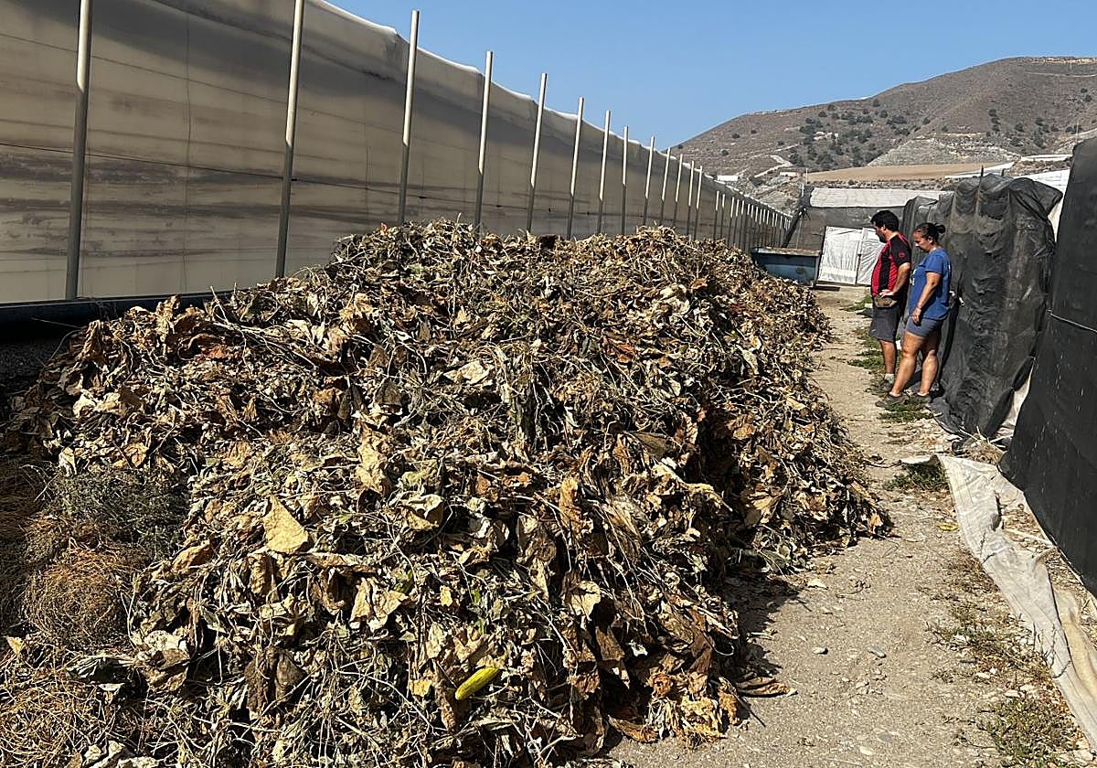 Desechos en las fincas de Carchuna.