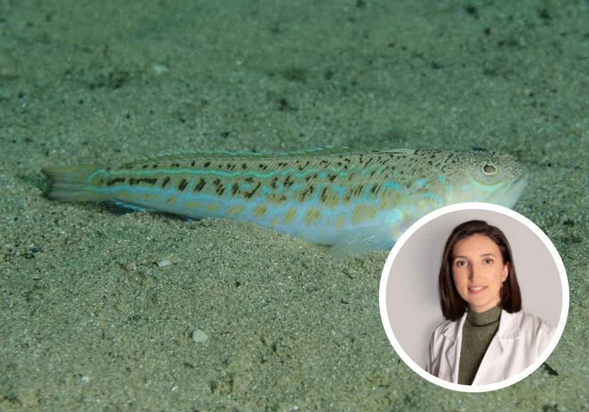 Pez araña y doctora María Muñoz