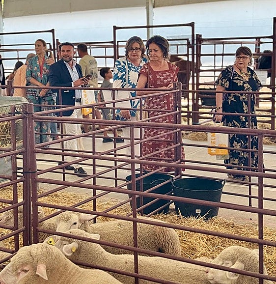 La consejera Catalina García junto a ganado.