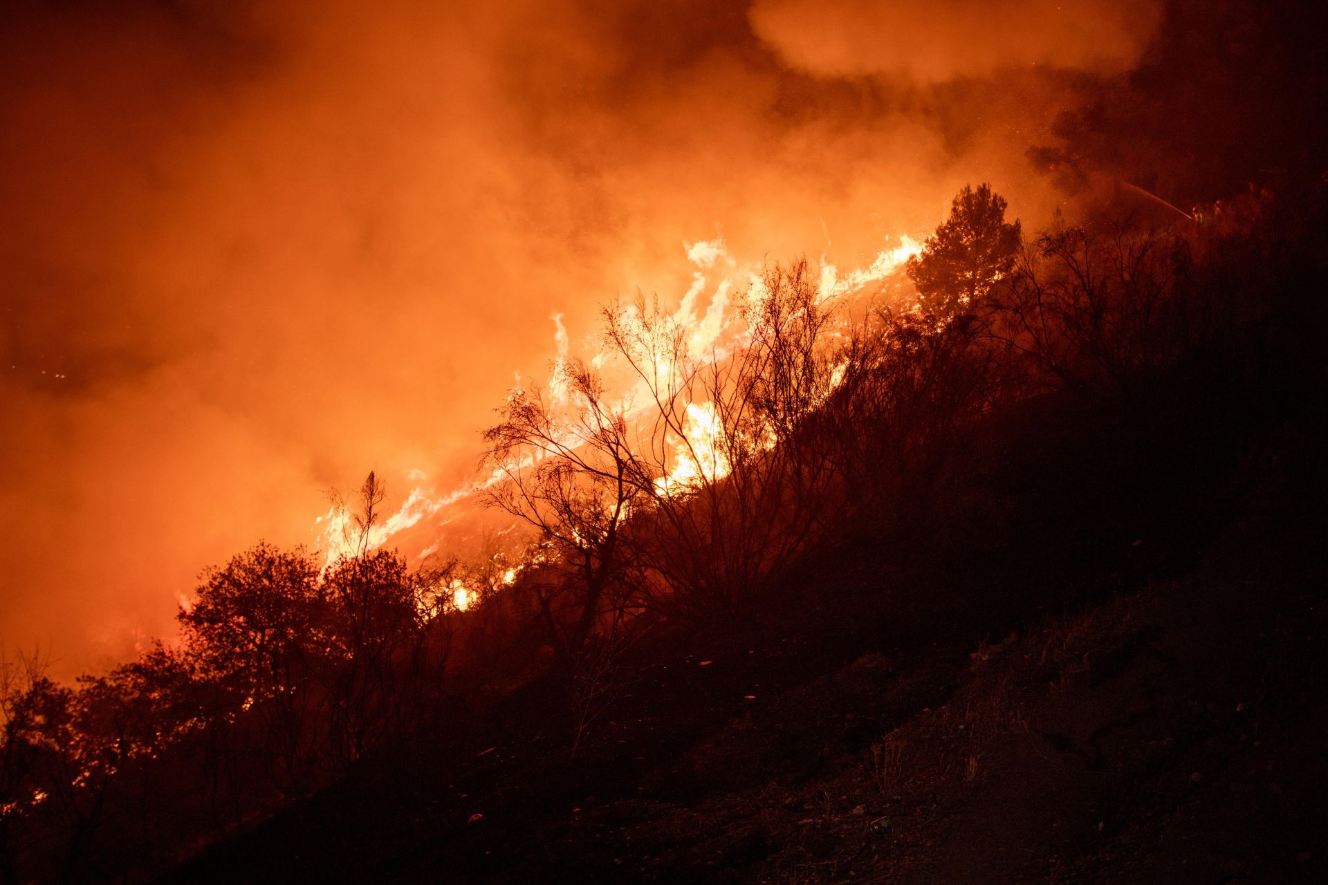 El incendio de la Fuente de la Bicha desde dentro