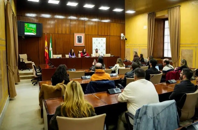 La consejera de Inclusión Social, Juventud, Familias e Igualdad, Loles López, en una comparecencia en comisión del Parlamento andaluz.