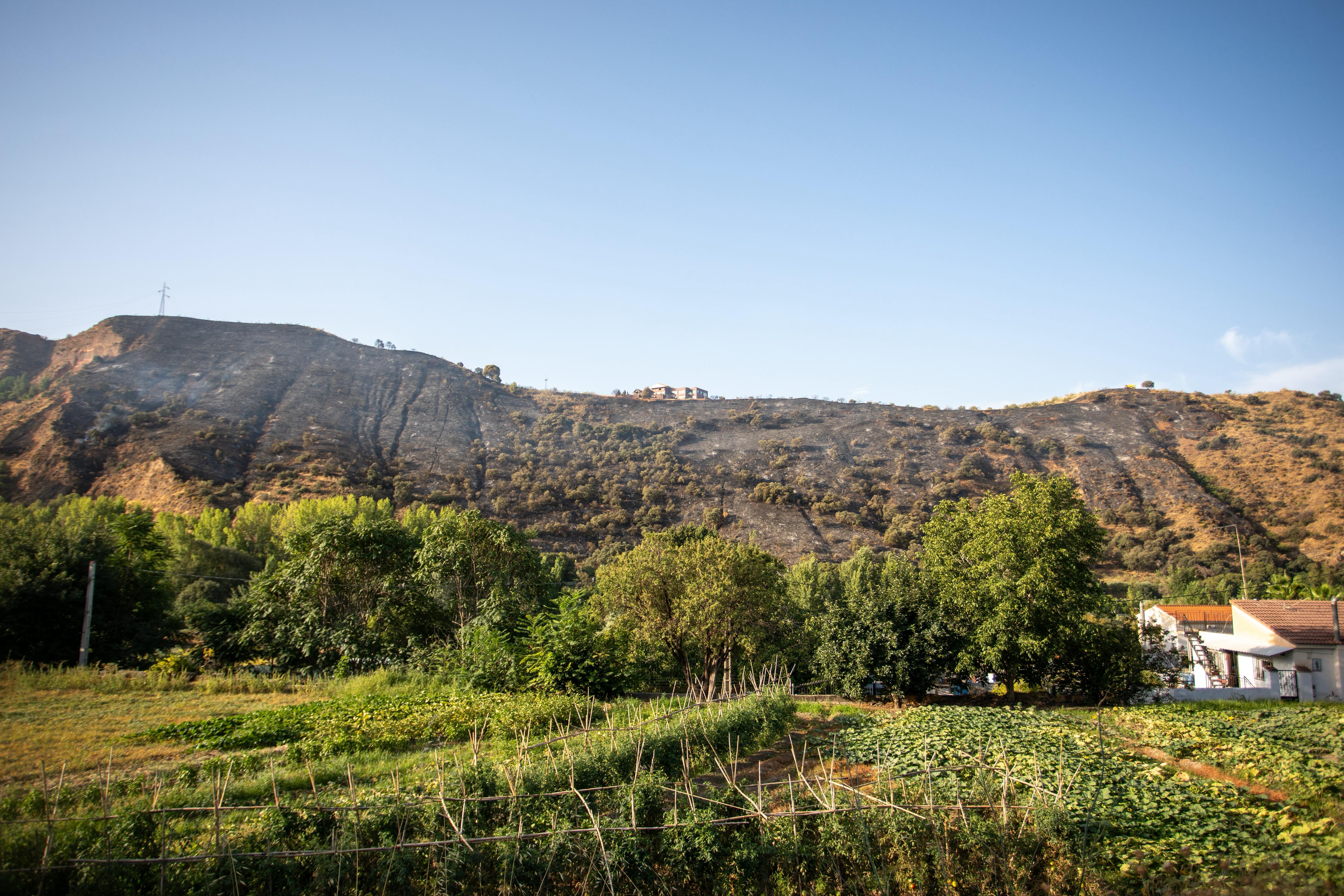 Así ha quedado la zona quemada en la Fuente de la Bicha