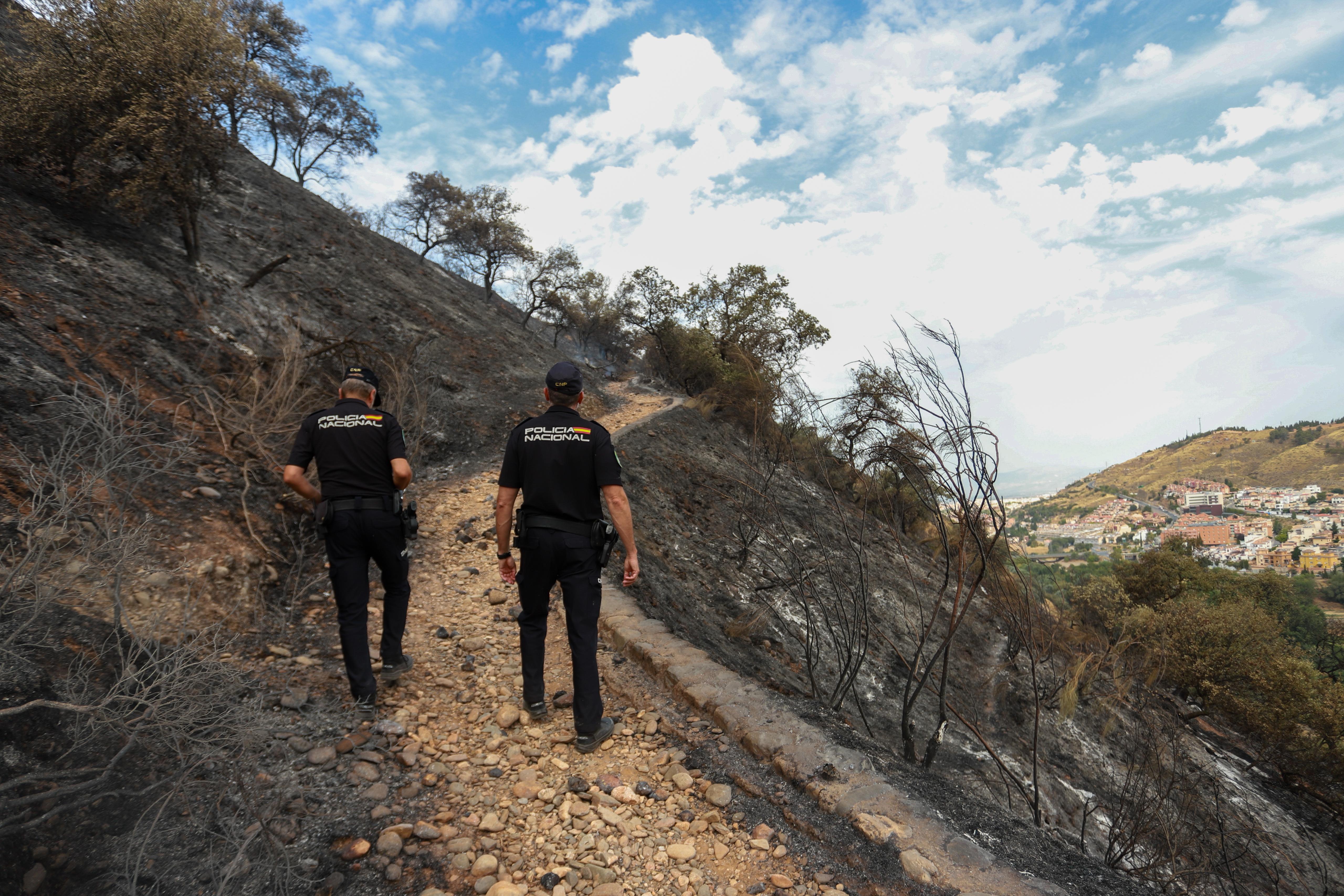 Así ha quedado la zona quemada en la Fuente de la Bicha