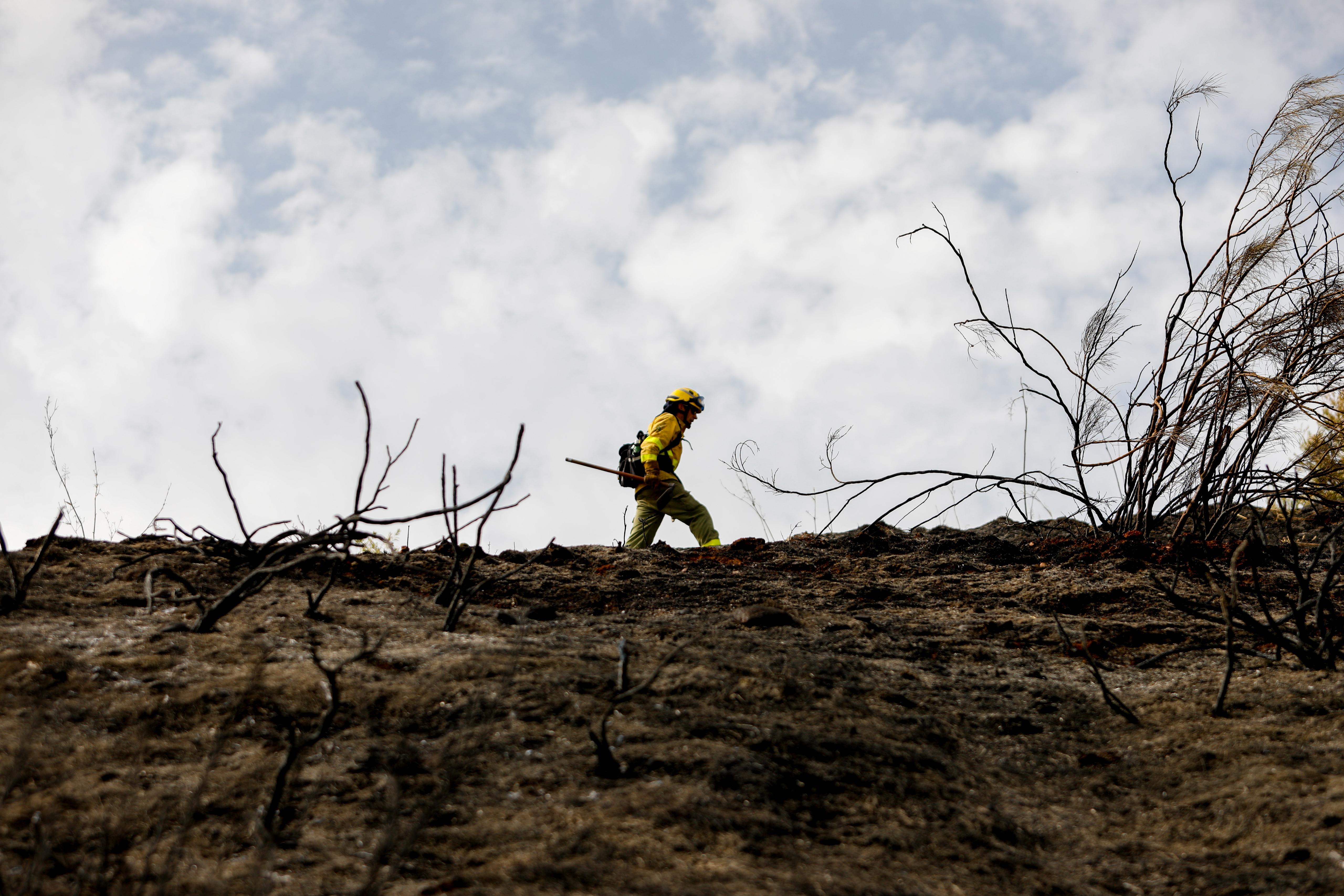 Así ha quedado la zona quemada en la Fuente de la Bicha