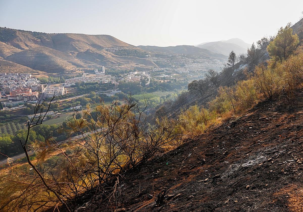 Así ha quedado la zona quemada