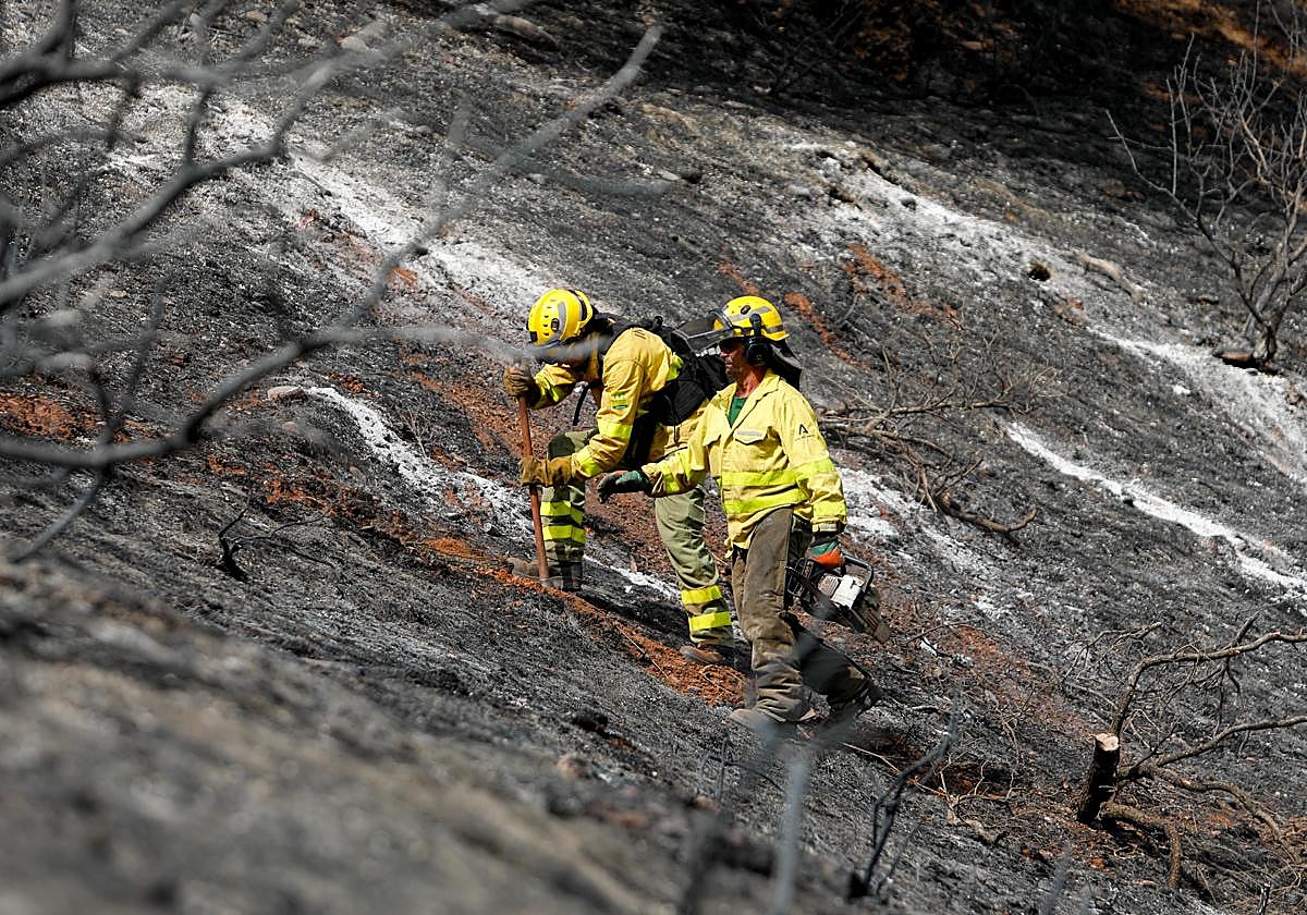 Así ha quedado la zona quemada en la Fuente de la Bicha.