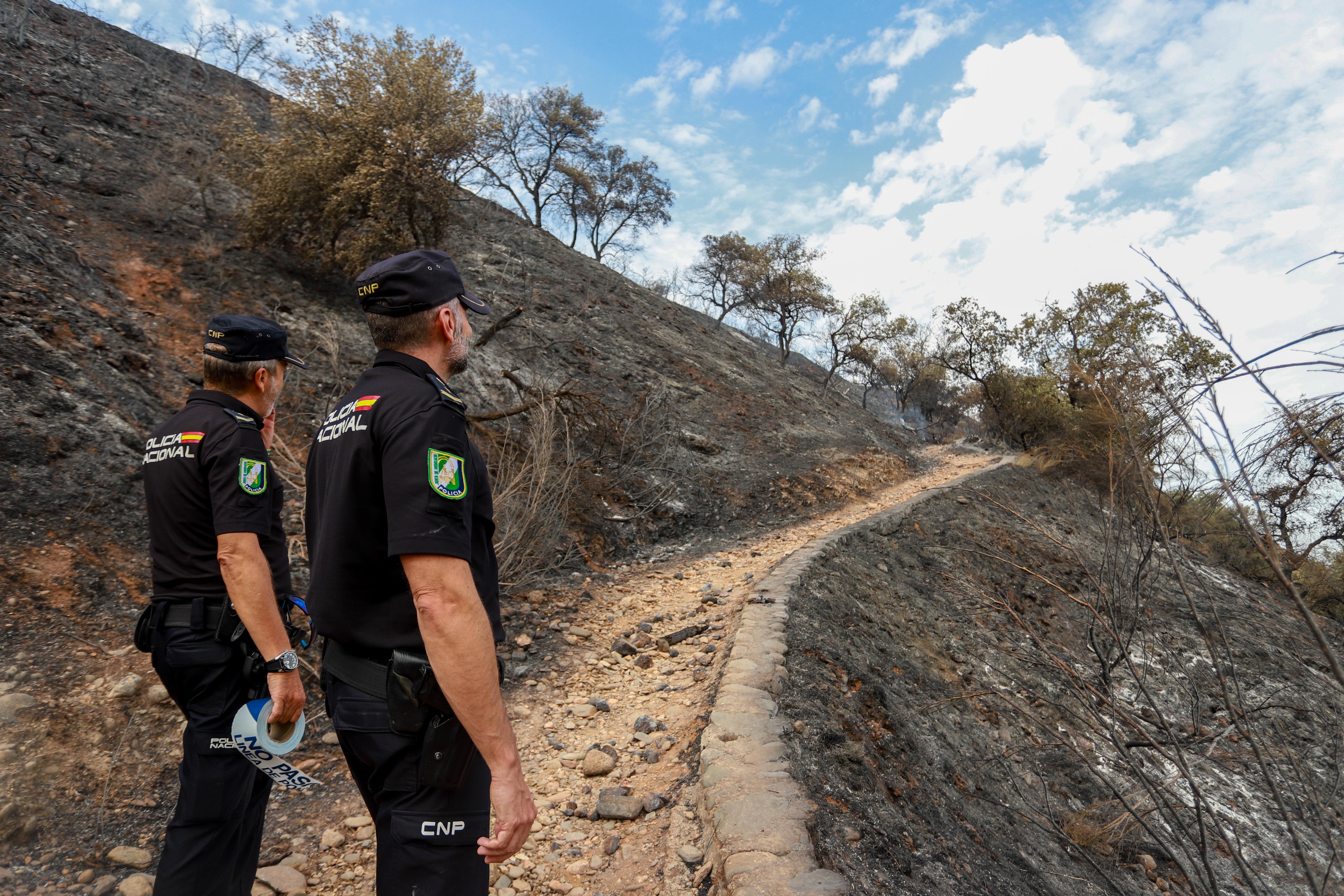 Así ha quedado la zona quemada en la Fuente de la Bicha