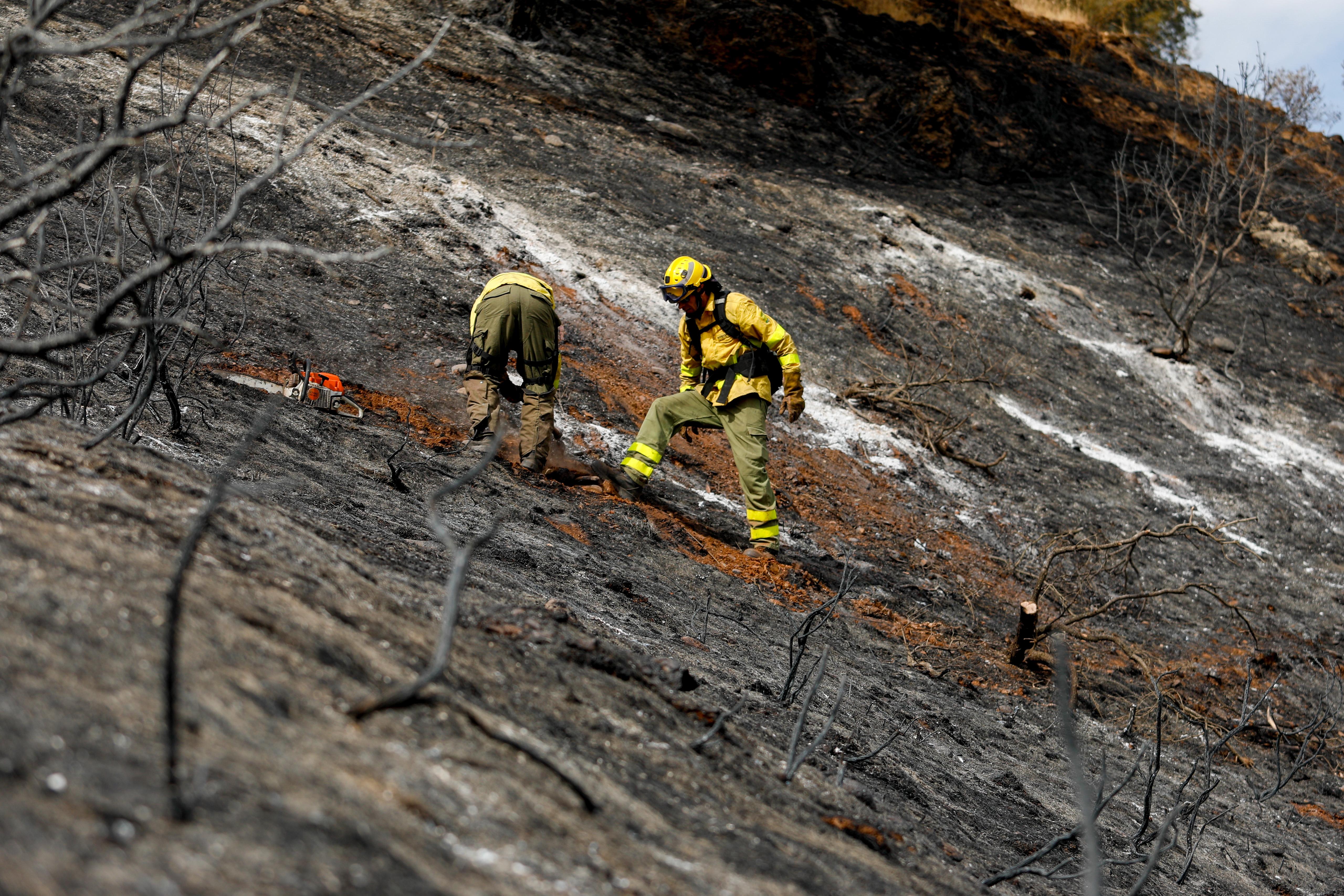 Así ha quedado la zona quemada en la Fuente de la Bicha
