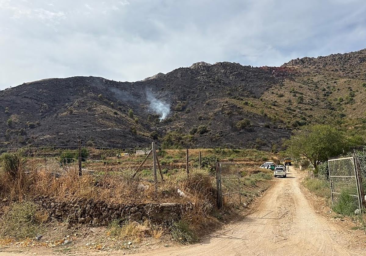 Imagen principal - Zona del incendio en Ventas de Zafarraya.
