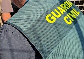 Aparecen en un zoo clandestino de Nules dos guacamayos robados en Almería