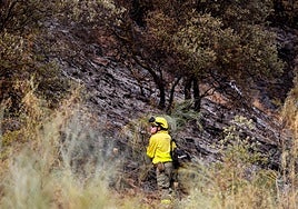 Control por parte del Infoca del incendio en Cenes
