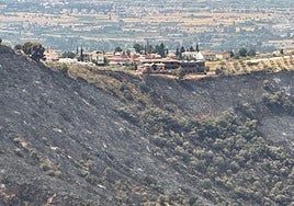Imagen de ayer de una de las laderas afectadas por el incendio.