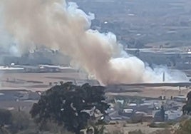 Fuego junto al carril bici de Kinépolis.