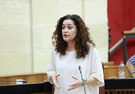 La actual portavoz parlamentaria de la coalición Por Andalucía, Inmaculada Nieto.