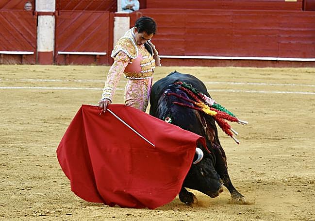 Derechazo de Jiménez Fortes, a un primero toro al que no le cortó orejas por su fallo a espadas.