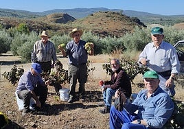 Vinicultores en la recolección de la uva.