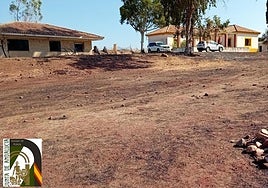 Lugar de los hechos.