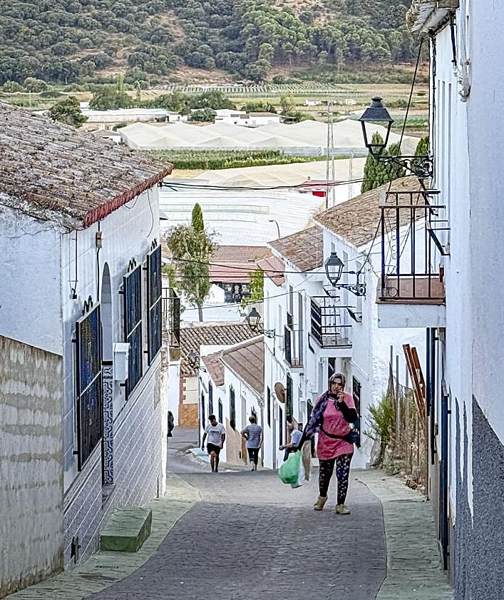 Imagen secundaria 2 - La vida de los temporeros en Ventas de Zafarraya.