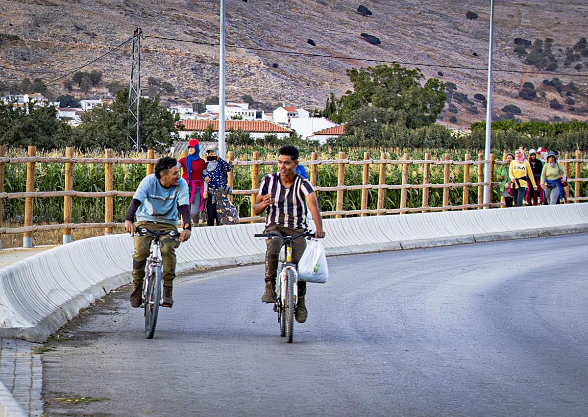 Imagen secundaria 1 - La vida de los temporeros en Ventas de Zafarraya.