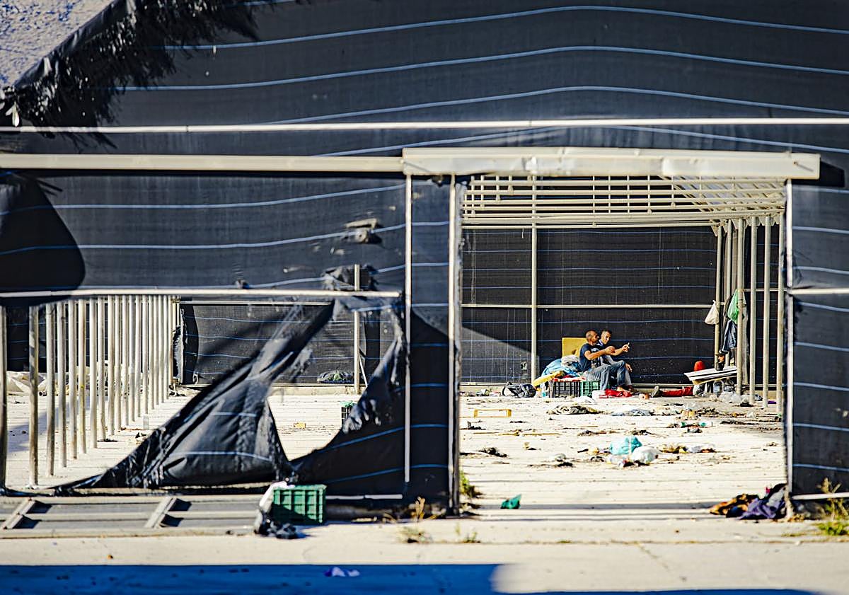 Imagen principal - La vida de los temporeros en Ventas de Zafarraya.