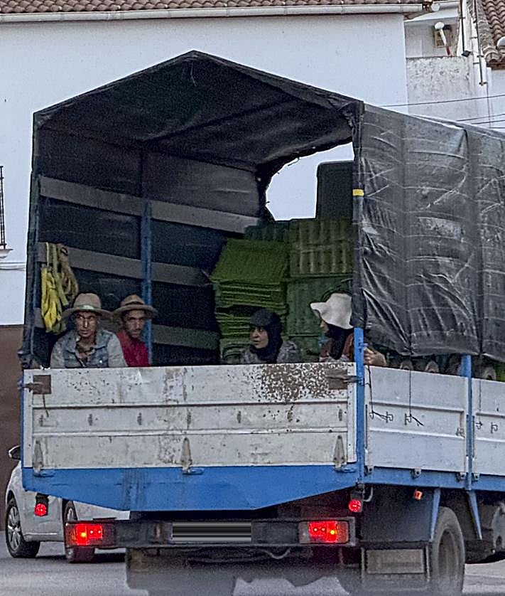 Imagen secundaria 2 - La vida de los temporeros en Ventas de Zafarraya.