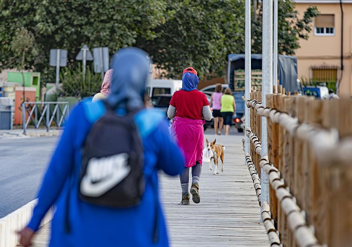 Las mujeres regresan a Zafarraya tras su jornada en el campo.