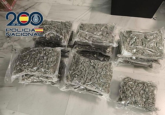 Marihuana encontrada en el vehículo interceptado.