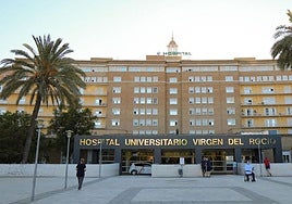 El presunto autor del incendio de Roquetas, permanece «muy grave» en un hospital de Sevilla